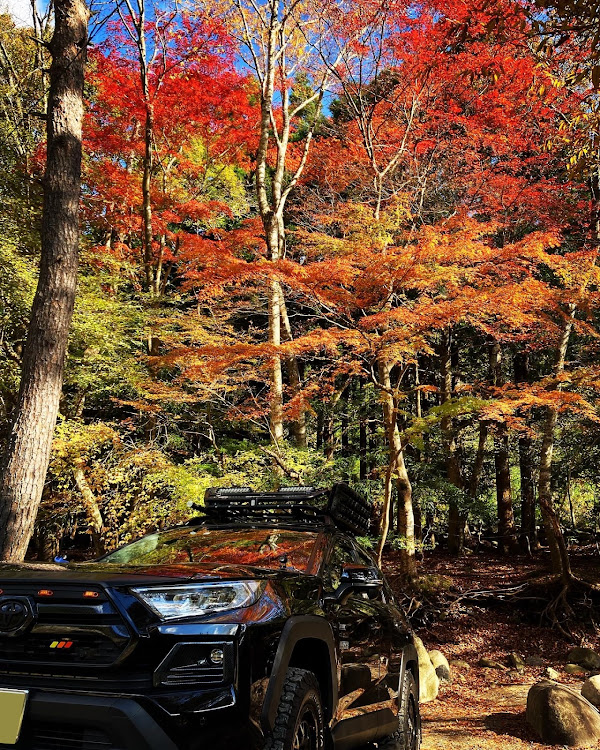 RAV4のRAV camp・紅葉🍁・完全ソロキャンプに関するカスタム事例の投稿画像1枚目