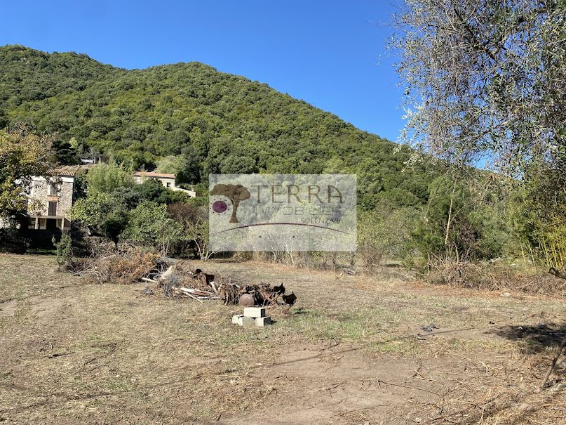 Vente terrain  858 m² à Serra-di-Fiumorbo (20243), 86 486 €