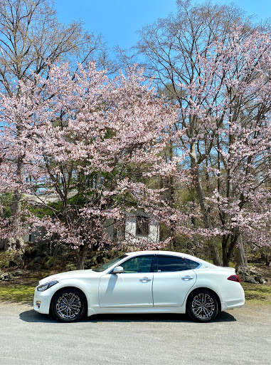 フーガ Kny51の 桜とコラボ 有珠善光寺 愛車紹介 ゴールデンウィーク 頑張ろう日本 に関するカスタム メンテナンスの投稿画像 車のカスタム情報はcartune