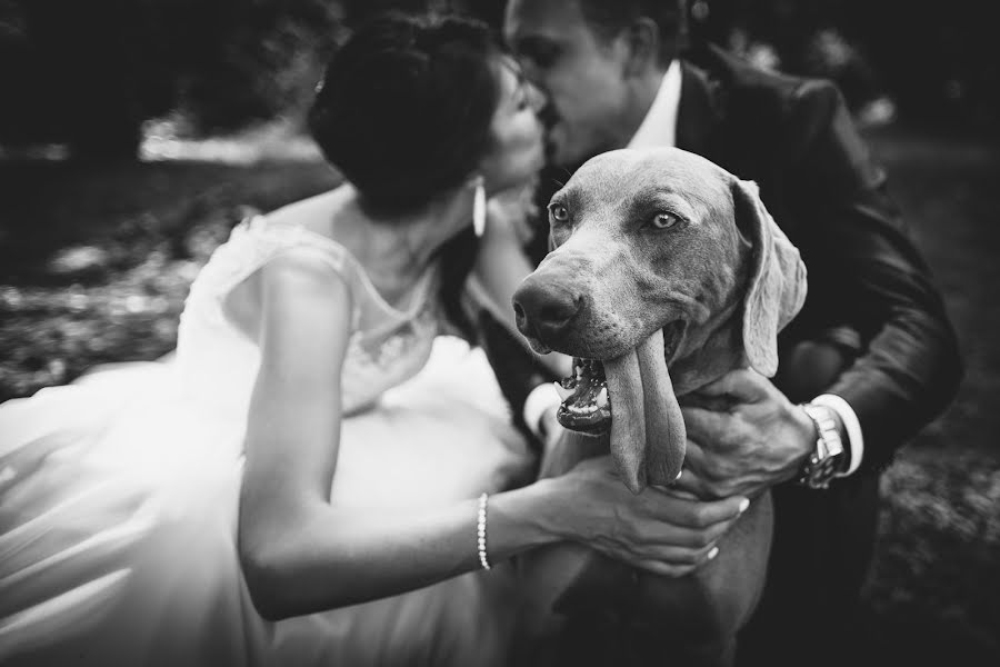 Düğün fotoğrafçısı Roberta De Min (deminr). 24 Mayıs 2016 fotoları