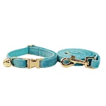 cat collar Leash