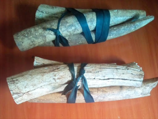 Two men arrested in Kibwezi with 10kg of ivory worth Sh2 million./MUTUA KAMETI