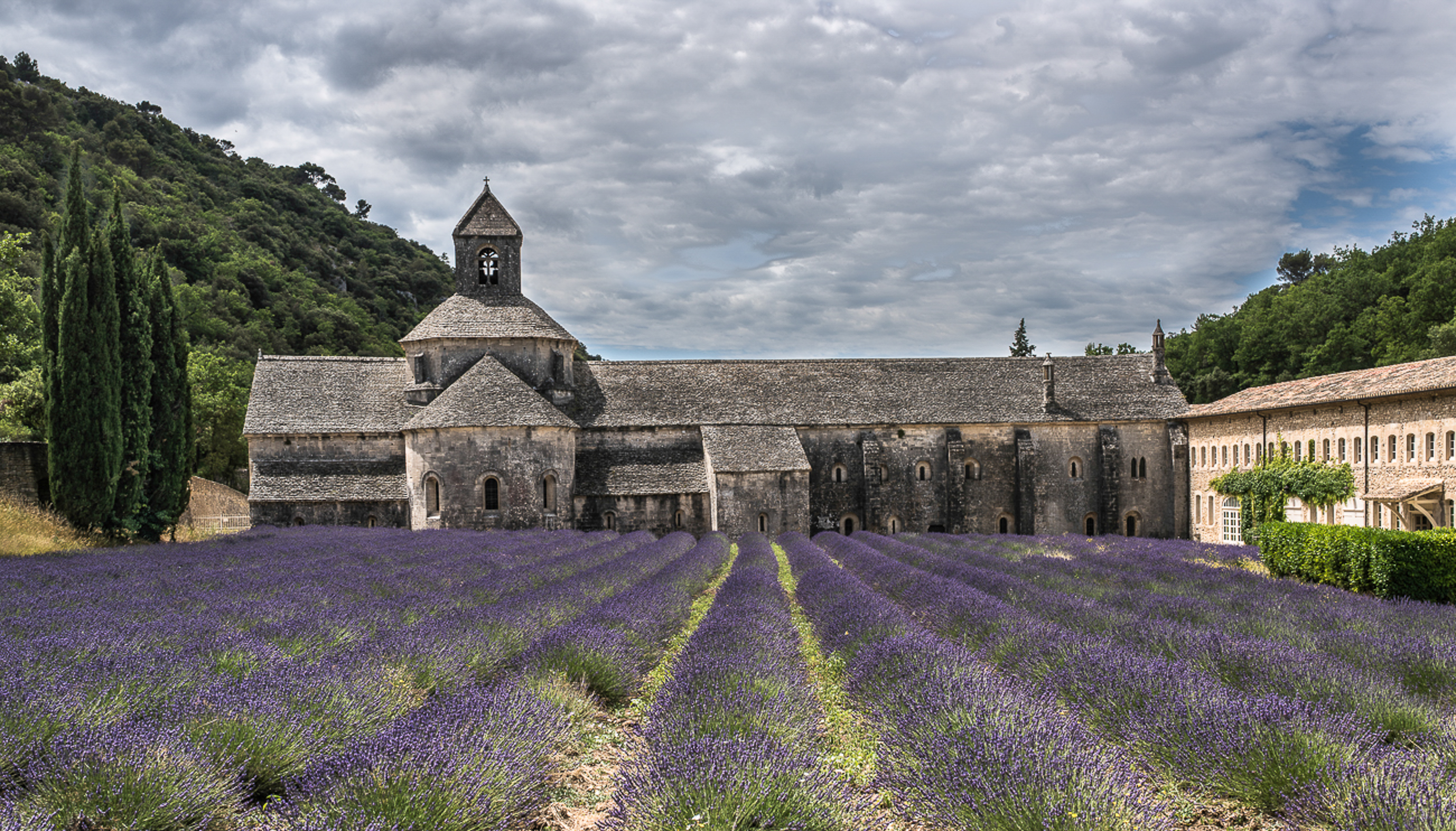 Abbazia di Senanque di Fiore Doncovio