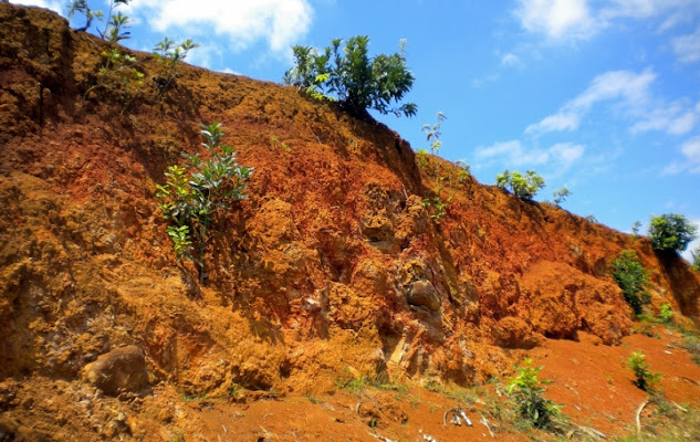 I colori della Terra di 62fiori