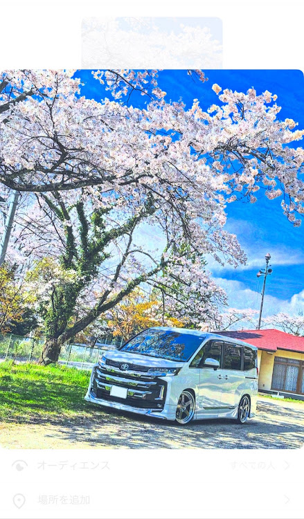 ノアの桜コラボ・ワーク・ジスタンスw5s・走れるシャコタン・ノアに関するカスタム事例の投稿画像3枚目