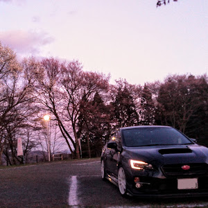 WRX S4 VAG