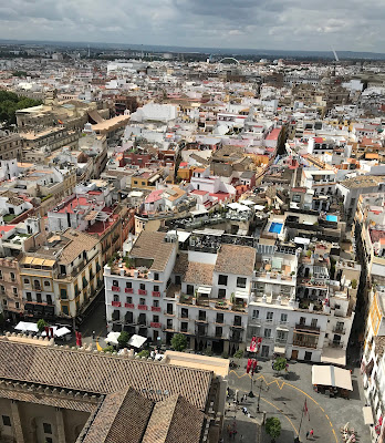 Vista Dall’alto  di Lorenzo00