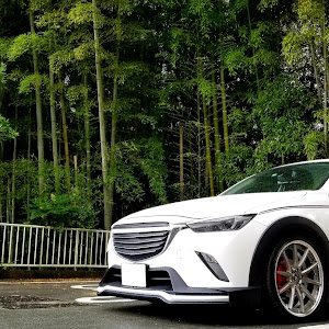 CX-3 DKEFW