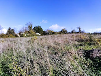 terrain à Razac-sur-l'Isle (24)