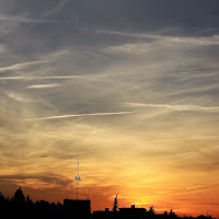 tracce di un cielo frequentato  di 