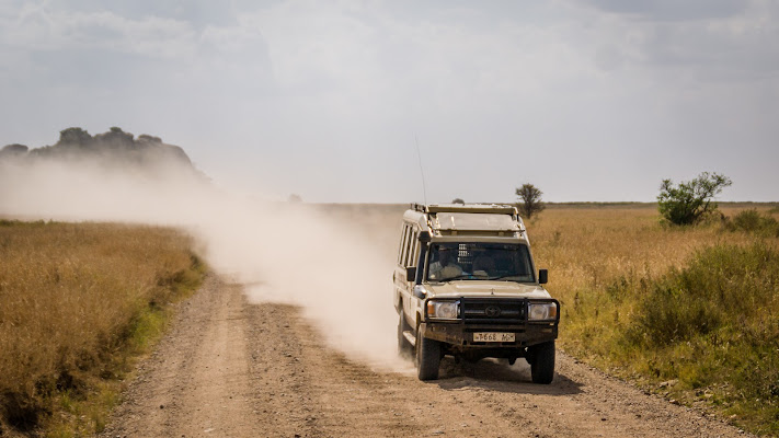 Dirty roads di Cosimo Ignesti