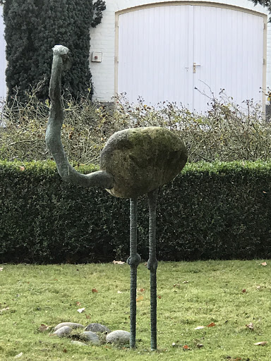 Flamingo