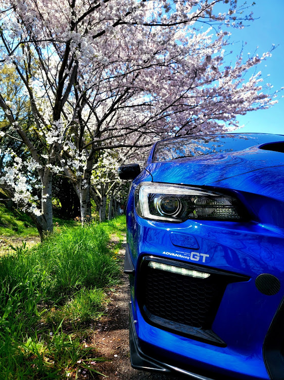 WRX STIのSUBARU・桜コラボ・自然に溶け込む⁉️に関するカスタム事例の投稿画像1枚目