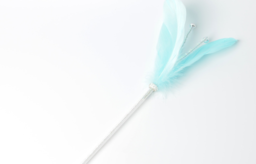Title 4, Long feather with bell, an interactive cat toy ...