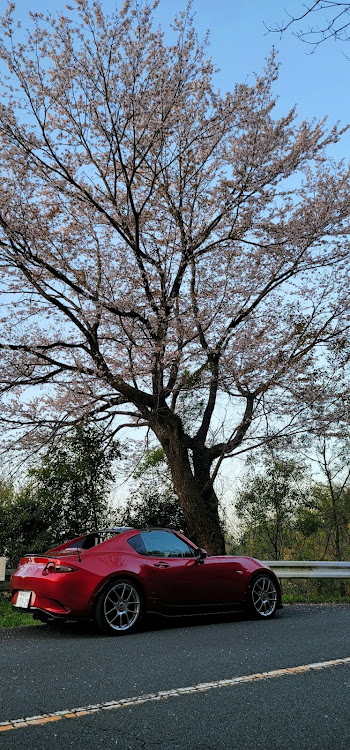 ロードスターRFの春ですね・ロードスターRFに関するカスタム事例の投稿画像3枚目