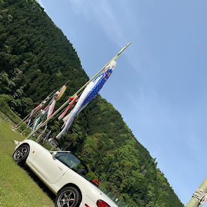 ロードスター NB6C