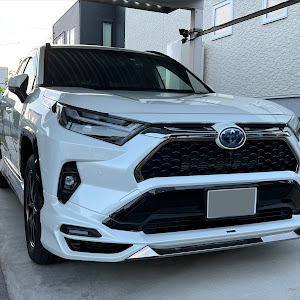 RAV4 AXAP54