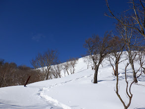 天気は最高