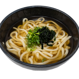 Plain Udon