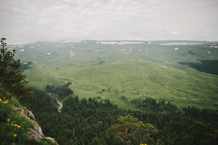 Свадебный фотограф Леся Оскирко (lesichka555). Фотография от 1 июля 2015