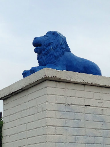 Blue Lion