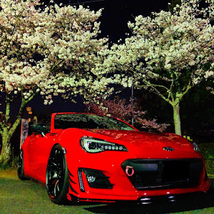 BRZ ZC6