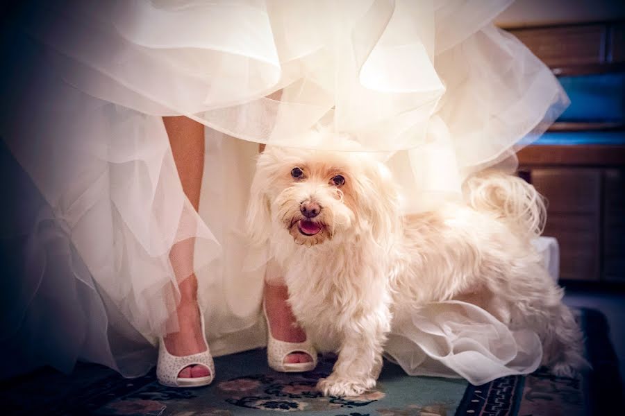 Fotografo di matrimoni Riccardo Tempesti (riccardotempesti). Foto del 19 luglio 2018