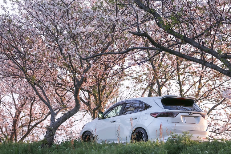 ハリアーの桜・桜と愛車・コロナウイルスに負けるな・夕焼けと桜・愛車自慢でコロナをぶっ飛ばせに関するカスタム事例の投稿画像2枚目