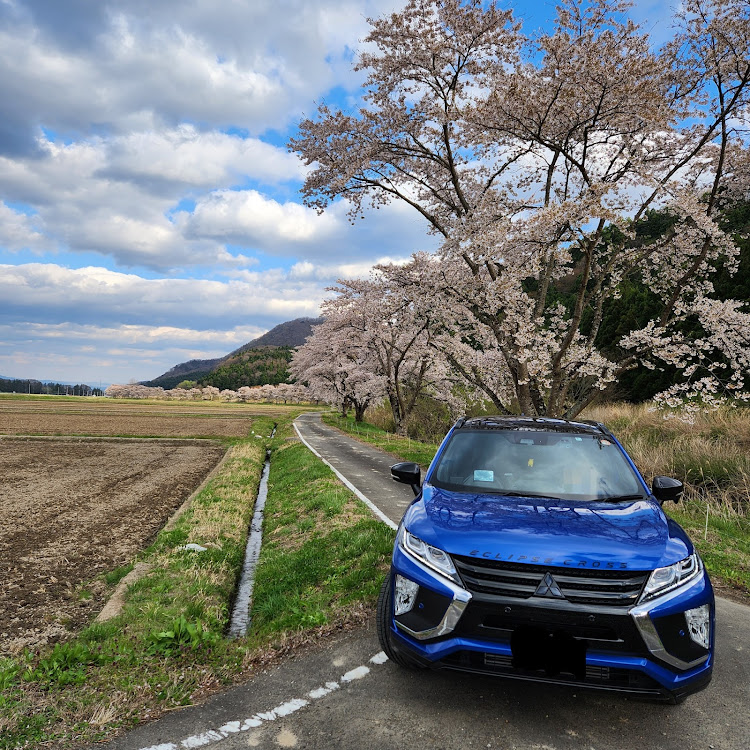 エクリプスクロスの桜コラボ・294号沿いの🌸・今日のおやつ・ゾロ目ゲット・桜を求めてに関するカスタム事例の投稿画像4枚目