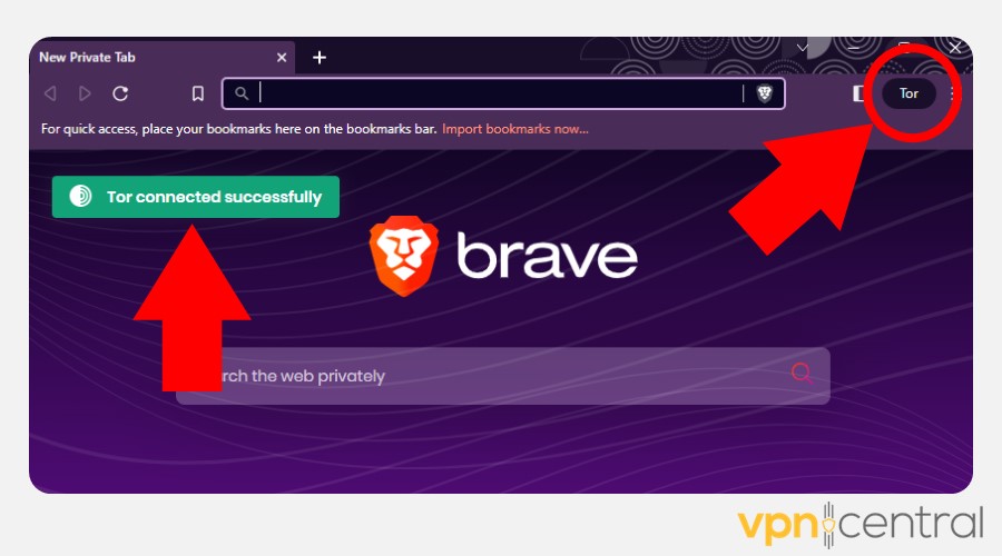 brave browser tor connected successfully