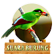 Download Kicau Ekek Geling For PC Windows and Mac 1.0