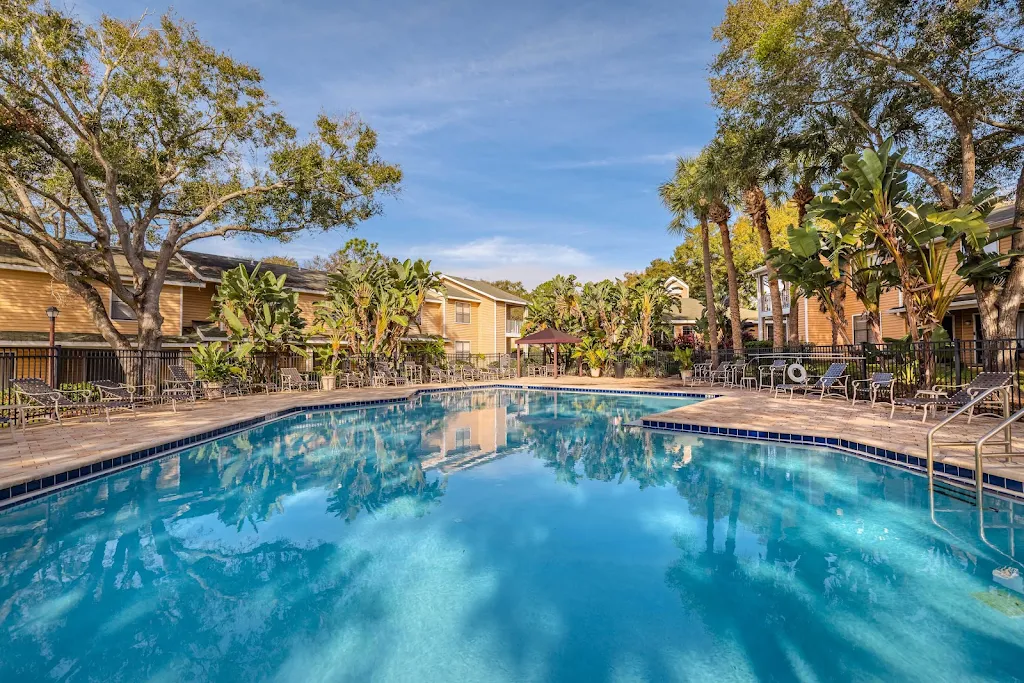 Fenced in swimming pool surrounded by a concrete patio with lounge chairs with tropical plants and trees nearby.