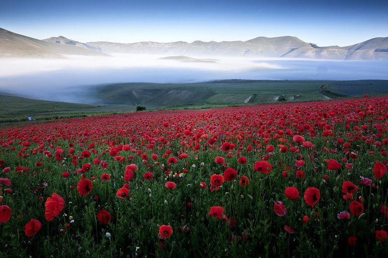 Finalmente primavera di Gloria Staffa