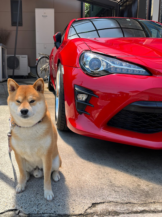 86の86 zn6・GW・あのベンチ・低そうで低くない少し低い車・5月もよろしくお願いしますに関するカスタム事例の投稿画像6枚目