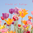 Field of Tulips Theme +HOME icon