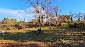 terrain à Le Cannet-des-Maures (83)