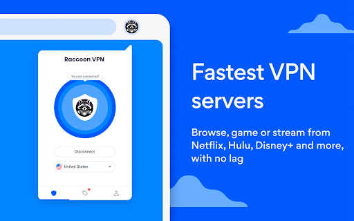 Free VPN - Raccoon | Unlimited VPN
