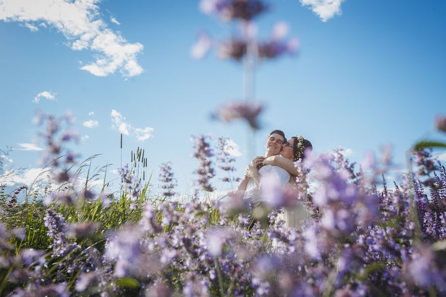 Fotografo di matrimoni Dmitriy Pustovalov (pustovalovdima). Foto del 25 luglio 2017