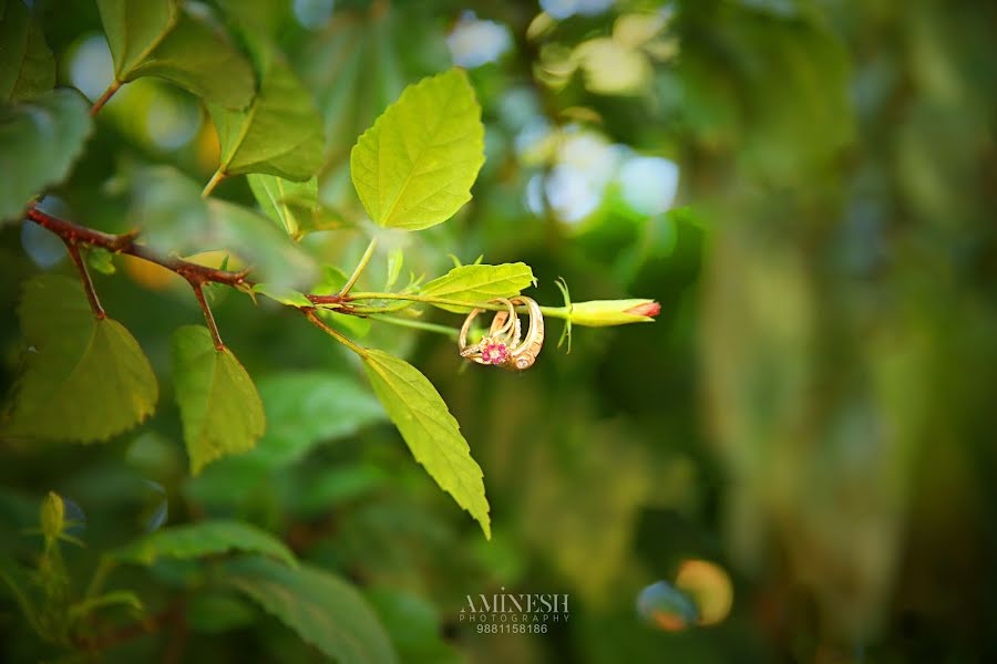 Hochzeitsfotograf Amit Mhaldar (amitmhaldar). Foto vom 10. Dezember 2020