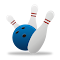 Item logo image for The Bowling Game