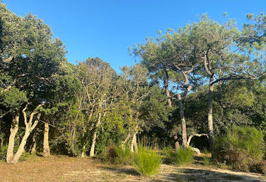 Seaside land with panoramic view 2