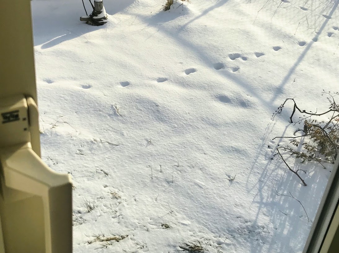 部屋の窓から