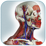 Cover Image of Download Нормальная анатомия человека 1.6 APK