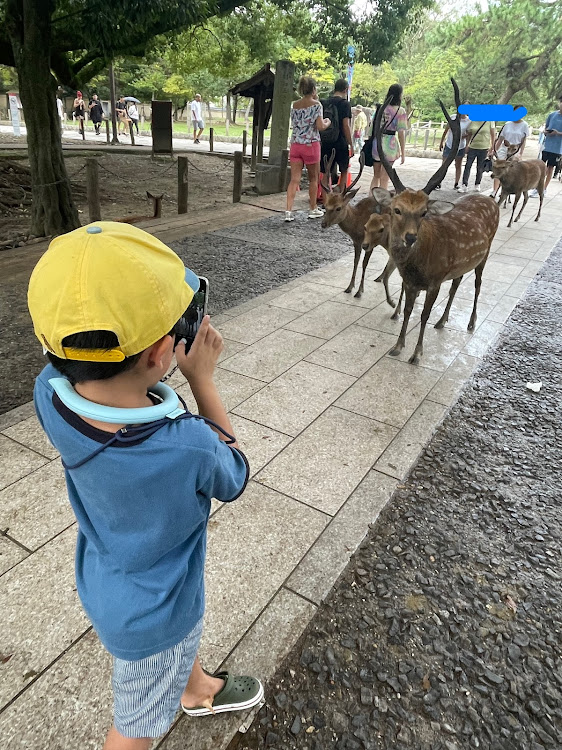 の投稿画像6枚目