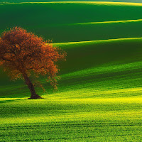 Contrasti naturali di 