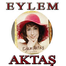 Eylem Aktas Sarkilari Internetsiz Latest Version For Android Download Apk