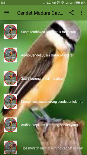 Download suara cendet madura