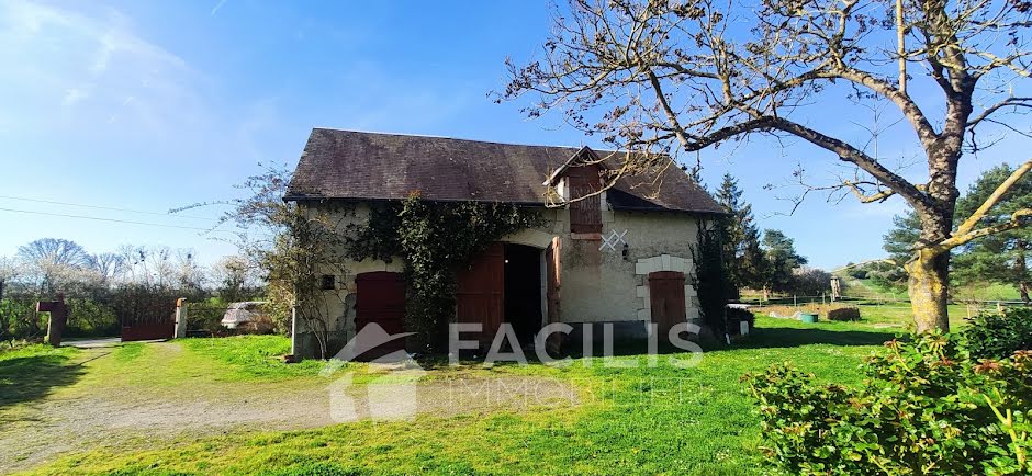 Vente maison 4 pièces 95 m² à Chatillon-sur-indre (36700), 118 000 €