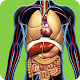 Human Anatomy Quiz-Pro Trivia Learn The Human Body Download on Windows