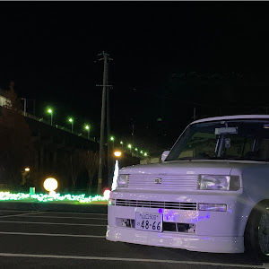 bB NCP31